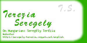 terezia seregely business card
