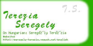 terezia seregely business card